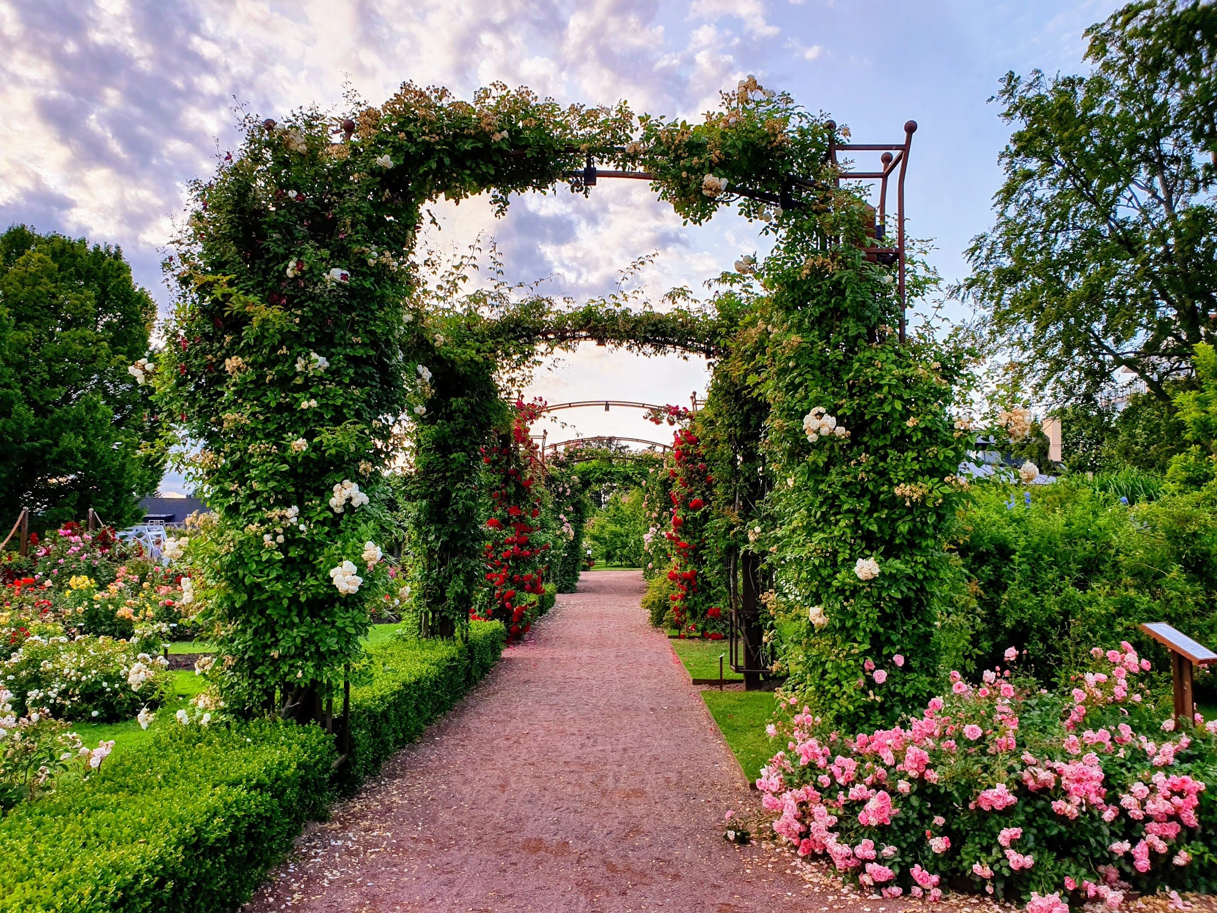 Rosenlund Rosarium